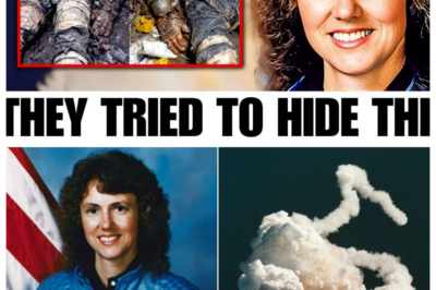 Things You Didn’t Know About The Challenger Disaster That Will Blow Your Mind
