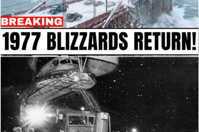 Historic Winter Terror Returns? Scientists Alarmed as Patterns From the 1977-78 Blizzards Reappear Across the U. S.
