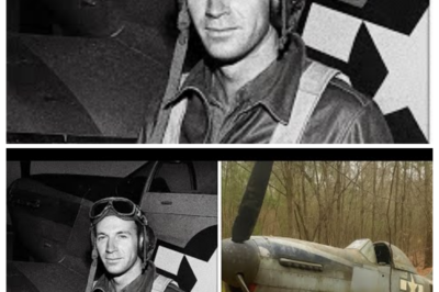 Fighter Pilot Vanished in 1943 — 60 Years Later, His Rusted Plane Was Found in a Forest…  In September 1943, Lieutenant Robert “Bobby” Mitchell took off from an airfield in England on what his squadron was told was a routine reconnaissance mission over occupied France. His P-51 Mustang never returned.  The Army Air Forces declared him missing in action, presumed dead. His family received the standard letter of condolence and a folded flag.  Sixty years later, hikers discovered the rusted remains of his aircraft deep in a Belgian forest, 200 miles from his supposed flight path, with bullet holes that didn’t match enemy fighter patterns.  And inside the cockpit, investigators found something that would force the military to reveal a classified mission so sensitive it had remained buried for six decades: the rescue of Allied prisoners from a camp that officially never existed.