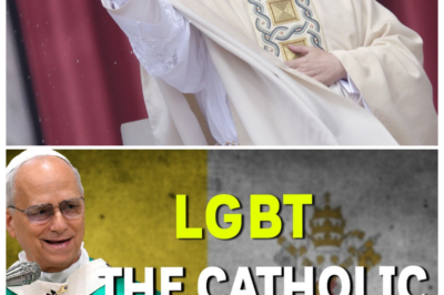 🌈 POPE LEO XIV Clarifies the Catholic Church’s Position on LGBTQIA Issues—And Insiders Say His Carefully Worded Statement Has Sparked Shock, Relief, and Outrage Across Parishes, Leaving Faithful, Activists, and Bishops Scrambling to Interpret Every Syllable In a sharp, tabloid narrator’s tone, the lead teases that this wasn’t a speech but a psychological tightrope, as applause mingled with whispers, social media erupted, and the Vatican quietly braced for debates that could redefine dialogue, allegiance, and faith for decades to come 👇