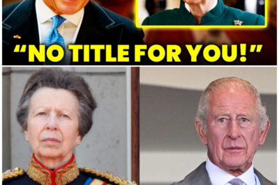 The Crown’s Last Shield: How Princess Anne Became the Monarchy’s Anchor in Its Darkest Hour