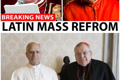 Cardinal Burke Meets Pope Leo XIV — A SHOCKING Shift on the Latin Mass?
