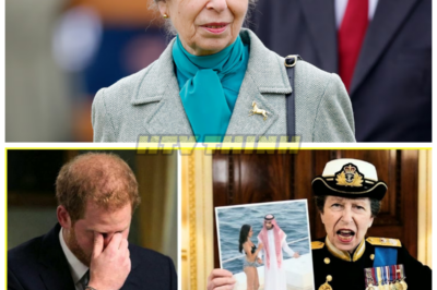 BREAKING: Princess Anne CONFIRMS the “Saudi Dossier” Is REAL — Prince Harry LEFT IN TEARS! 😱📜 The Royal Family’s Deepest Secrets EXPOSED! In a shocking revelation just minutes ago, Princess Anne has confirmed the existence of the infamous “Saudi Dossier,” and the royal family is reeling from the fallout. Prince Harry is reportedly in tears as the truth behind the dossier emerges, unraveling a web of secrets that could change everything we thought we knew about the monarchy. What’s in the dossier, and why is it causing such a dramatic emotional response? The royal crisis deepens. 👇