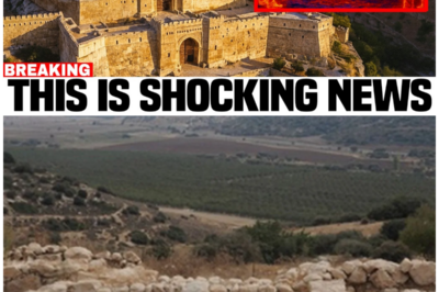 Unearthing King David’s Lost Kingdom: How a Hidden Palace Shattered Centuries of Skepticism and Rewrote History