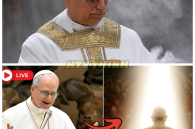 😱 The Cardinals Ordered Pope Leo XIV to Step Down—Then a Beam of Light Struck Only Him! 😱 In an unbelievable turn of events, Pope Leo XIV was forced to step down by the Cardinals, but just as the decision was made, something divine happened. A mysterious beam of light struck only him, leaving the Vatican stunned and the world in shock. What does this heavenly intervention mean for his papacy and the future of the church? Get ready for the shocking truth behind this unexplainable phenomenon.👇