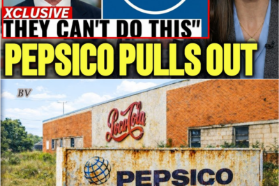 The Most Expensive Fine in California History? Inside the Frito-Lay Shutdown Panic