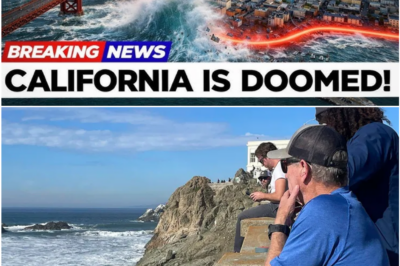 California’s Coastline Faces Sudden Tsunami Threat After Russian Megathrust Quake Warning