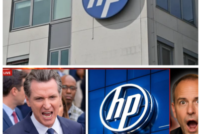 💻 GOVERNOR OF CALIFORNIA UNDER PRESSURE AS HP FLEES SILICON VALLEY FOR TEXAS — BILLIONS IN TECH JOBS VANISH OVERNIGHT 💥 What began as a routine quarterly update explodes into a political nightmare as servers, engineers, and executives quietly pack up, leaving the governor scrambling for answers while critics accuse him of failing to protect the state’s crown jewel, turning headlines into a full-blown economic panic 👇