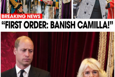 Charles ABDICATES?! Prince William Just CROWNED After Camilla’s BIGGEST Betrayal EXPOSED