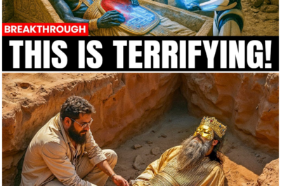 5,000 Years of Secrets Buried Beneath Jerusalem: The Shocking Truth Inside King Solomon’s Tomb That Scholars Don’t Want You to Hear