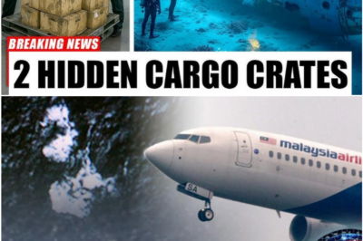 New Evidence Reopens the MH370 Mystery—and Points the Focus Away from the Sky and Into the Cargo Hold