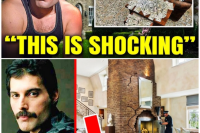 🦊 SHOCKING AFTERMATH: What Was Discovered Inside Freddie Mercury’s London Home Has Left Even His Closest Circle Reeling 🎤⚡