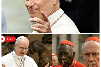 🔥 SILENCE BROKEN — POPE LEO XIV WARNED TO HOLD BACK, THEN UTTERS A SINGLE WORD THAT SHAKES CARDINALS TO THEIR CORE ⛪ The narrator’s voice drops to a dramatic whisper as velvet curtains rustle, advisors freeze mid-breath, and one forbidden utterance sends shockwaves through the Vatican, leaving centuries of protocol teetering on the edge of chaos 👇