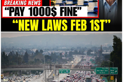 BREAKING: What Really Happened to California Traffic Laws — $1,000 Fines Start Soon