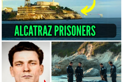 Scientists Finally Solved The Alcatraz Escape Mystery