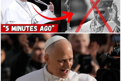 🚨5 Minutes Ago! Pope Leo 14 Urgently Summons Former Secretary of Pope Benedict 16, Shocking Vatican
