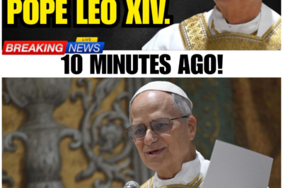 The Cardinals Tried to Remove Pope Leo XIV—But a Voice Echoed Through the Vatican Walls