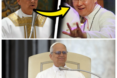 A Cardinal Collapsed During Confession—And Pope Leo XIV Knew the Prophecy Had Begun