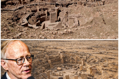 “I Can’t Ignore This Anymore — AI Just Exposed a 12,000-Year-Old Lie at Göbekli Tepe”