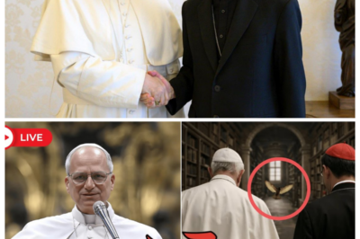 🕊️ DIVINE SIGNS OR SHEER LUCK? — POPE LEO XIV AND CARDINAL TAGLE TRAIL A STRAY BIRD INTO A HIDDEN LIBRARY 📚 The narrator leans in with wonder as whispers tell of fluttering wings guiding the Holy Father through shadowed halls, dust-covered tomes, and secrets untouched for centuries, leaving insiders gasping at a discovery that could rewrite what we thought we knew about faith, wisdom, and fate 👇