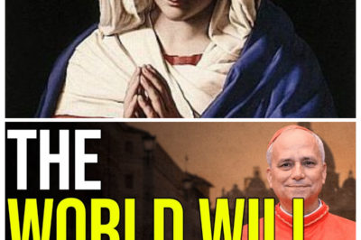 The VIRGIN MARY Warns Pope Leo XIV: What Is Coming Will SHAKE the World!