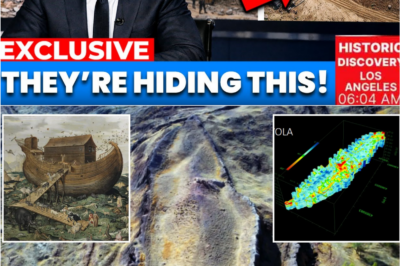 ❄️ Buried Under Ice for Millennia — The Ark Mystery Just Entered a New Era