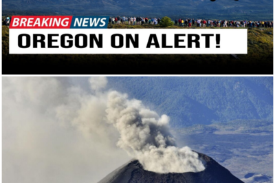 😱 Mount Hood Awakens: What Lies Beneath Oregon’s Iconic Volcano? 😱 – HTT