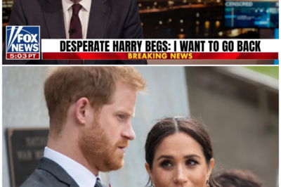 “I WANT TO GO BACK!” — Prince Harry’s DESPERATE UK Escape Plan From Meghan REVEALED!