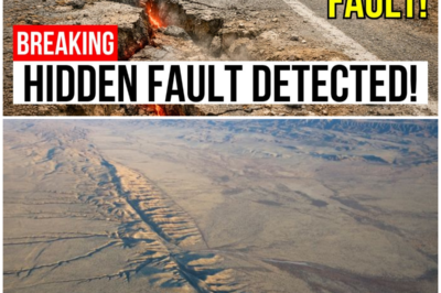 😱 The Next San Andreas? Shocking Earthquake Reveals California’s Geological Secrets! 😱 – HTT