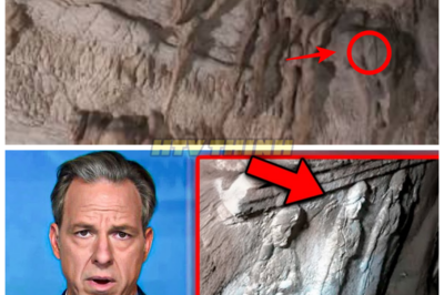 Archaeologists Finally Open the VAULT Beneath Mount Sinai — What They Found Is UNREAL 😱🗿👇 When the sealed vault beneath Mount Sinai was cracked open, archaeologists expected relics and dust — what emerged instead defied every theory ever written, as shimmering artifacts, inscriptions that rewrite history, and impossible engineering lay exposed, forcing the academic world into stunned silence and raising the terrifying question: what were they hiding down there all this time? 👇