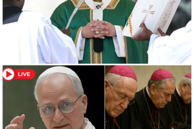 ⚖️ pope leo xiv announced a reform… and several bishops resigned overnight ⛪🔥 as cathedral corridors echo with hurried footsteps and whispered outrage, the narrator hisses that tradition just collided with authority, leaving power vacuums, scandalized clergy, and the faithful scrambling to understand who still holds the keys 👇