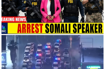 FBI & ICE Raid Office Of Somali House Speaker – 4.2 Tons Of Drugs, $212 Million Seized