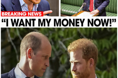 Prince Harry GOES OFF After Prince William FREEZES His $14 MILLION Inheritance!