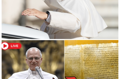 Timeline Shattered! ✝️ Pope Leo XIV Confirms Discovery of Lost Scrolls That Threaten to Rewrite the Bible—and the Church Holds Its Breath! In a revelation delivered with solemn gravity, the Pope acknowledges ancient texts emerging from shadowed vaults, whispering of dates that don’t align and events that arrive too early, too late, or not at all, sending scholars into frenzy and believers into stunned silence as the idea of sacred history itself begins to wobble under the weight of forgotten ink 👇