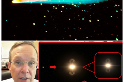 🐘 “Cosmic Alert: James Webb Reveals Life on 3I ATLAS — Are We Prepared for Contact? 🌠” “Can you feel the excitement in the air? The universe just threw us a curveball!” The James Webb Telescope has made a shocking discovery: life exists on 3I ATLAS, and it’s rapidly approaching! With insights from Avi Loeb, the implications of this revelation are staggering. As we stand on the brink of potentially meeting extraterrestrial life, how will humanity respond to this extraordinary news? 👇