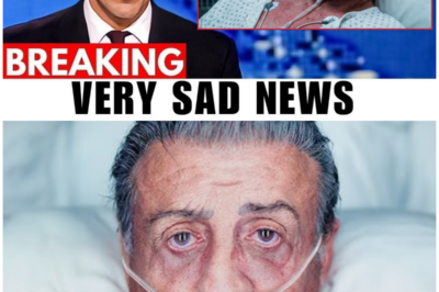 At 79, The Tragedy Of Sylvester Stallone Is Beyond Heartbreaking