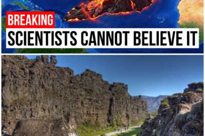 😱 Explosive Eruptions: Has the Mid-Atlantic Ridge Unleashed a Geological Nightmare? 😱 – HTT