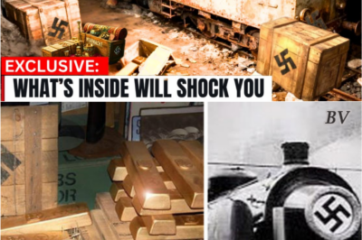 The Gold Train Emerges: Inside the Nazi Secret Buried for 80 Years