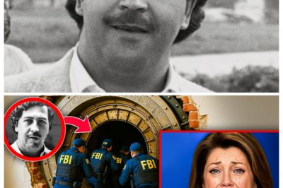 Pablo Escobar’s Secret Vault Finally Opened — What They Found Inside Is Beyond Imagination Long whispered about and fiercely guarded by myth, a hidden vault linked to Pablo Escobar has reportedly been opened—unleashing a wave of shock across Colombia and beyond. What investigators and witnesses claim was found inside goes far beyond stacks of cash, pointing instead to forgotten evidence, personal artifacts, and clues that could reshape how Escobar’s empire truly operated. Why was this vault sealed for so long, who knew of its existence, and what truths might it expose about power, corruption, and the cartel’s deepest secrets? As details slowly emerge, one thing is certain: this discovery is reopening a chapter many believed was buried forever.