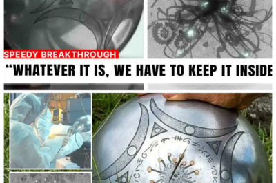 MIT Just Released The Clearest X-Ray Of Buga Sphere’s Internal Structure