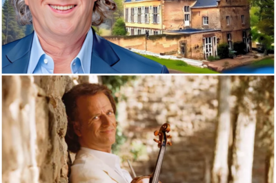 What Really Happened To Andre Rieu?