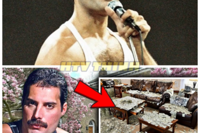 What They Found Inside Freddie Mercury’s London Home LEFT Investigators SPEECHLESS — Secrets Hidden for Decades Finally EXPOSED 😱🏠👇 When the doors of Freddie Mercury’s private London sanctuary were finally opened, what lay inside wasn’t just memorabilia — it was a silent confession of a life far more complex, fragile, and guarded than the world ever knew, sending shockwaves through fans and forcing everyone to rethink the legend behind the voice.👇