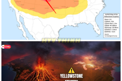 Yellowstone’s DOOMSDAY Countdown — What Happens If The Supervolcano ERUPTS Tomorrow? 🌋💥 Experts WARN We’re Running Out of Time! Hold your breath, because Yellowstone’s supervolcano is showing signs of rumbling, and it could blow any second! What will happen if this beast erupts tomorrow? Scientists are terrified, but are they telling us the truth about the devastation that would follow? Major cities in the U.S. could be buried in ash, and the world might never be the same. The clock is ticking, and the eruption could come without warning. Are we ready for the end? 👇