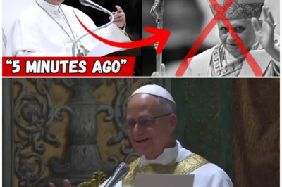 Vatican in Turmoil: Pope Leo 14’s Secret Summons Unveils Hidden Christmas Truths!