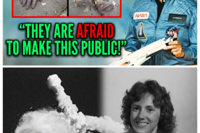 Challenger Disaster Mystery FINALLY Solved in 2025! Investigation Update!