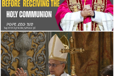 POPE LEO XIV: 12 MORTAL SINS WHICH MUST BE CONFESSED FIRST BEFORE RECEIVING COMMUNION