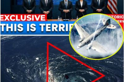 An Underwater Drone Entered the Bermuda Triangle—and the Data It Brought Back Left Scientists Uneasy