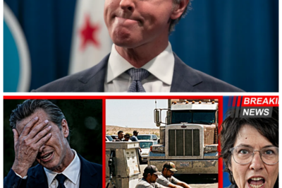 “Panic in Paradise: California’s Governor Faces Crisis as Blue Diamond and Pizza Hut Flee Amid Diesel Shortage! 🔥” Just when you thought it couldn’t get worse, California’s Governor is thrown into a tailspin as cherished brands Blue Diamond and Pizza Hut abandon the state, all thanks to a crippling diesel shortage! What’s really going on behind the scenes? This scandal is about to explode, and you won’t believe what’s at stake! 👇