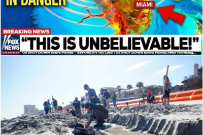 Florida Beaches Abruptly Closed After Bizarre Underwater Discoveries Leave Scientists Deeply Uneasy