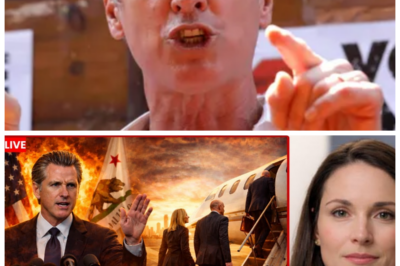 “California’s Corporate Crisis: Governor’s Response Could Make or Break the State! 🆘🌉”  “Who knew that losing a few companies could feel like the end of the world?” As California’s governor responds to the alarming threats from major corporations considering a mass exit, the stakes have never been higher. With the economy hanging in the balance, residents are left to wonder if their beloved state can survive this corporate crisis. “It’s just a little business negotiation,” they insist, but for many, it feels like a desperate fight for survival. Will the governor’s strategy be the lifeline California needs, or are we witnessing the unraveling of a once-thriving state? 👇